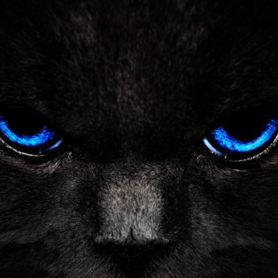 1920 x 1080 HD Wallpapers 3030